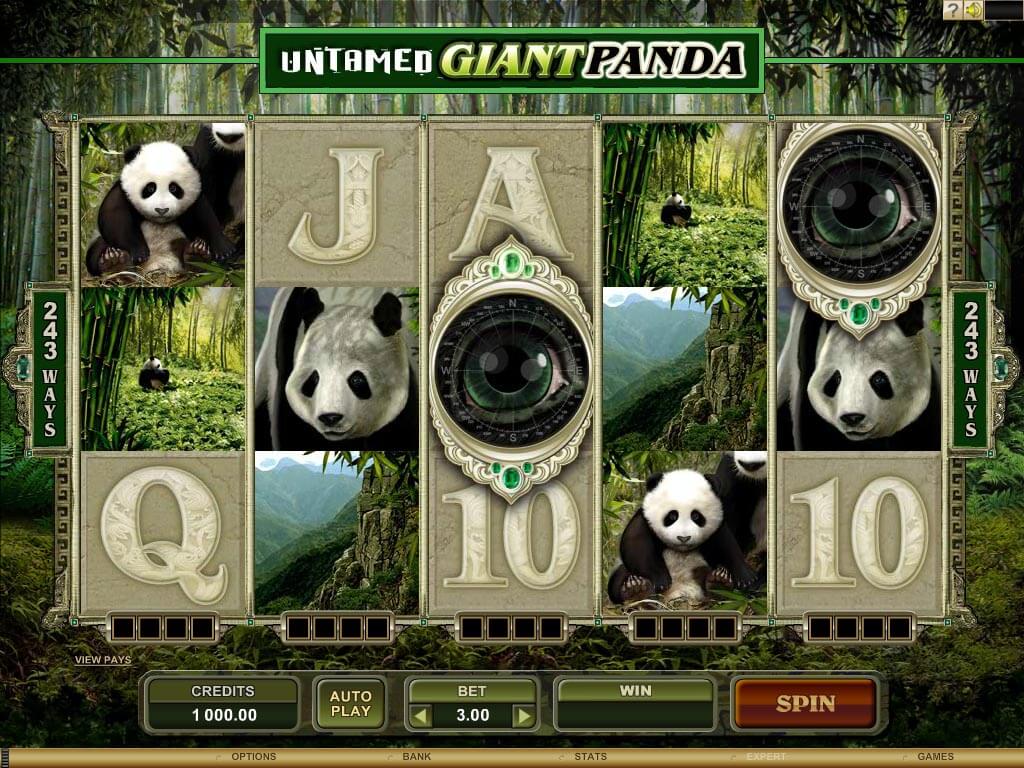 Giant panda slot